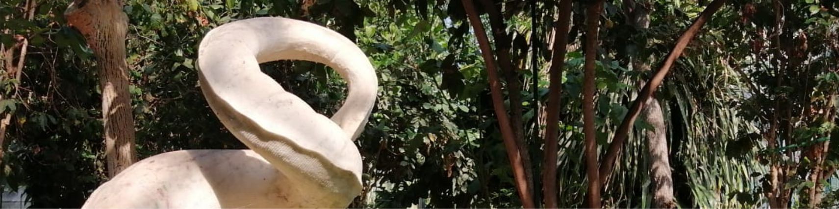 VISITA ORTO BOTANICO PALERMO